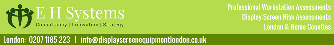 Display Screen Equipment London